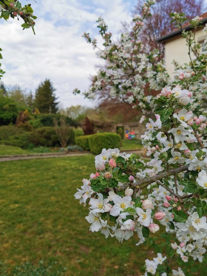 Chambres D'Hotes La Tuilerie Blainville-sur-l'Eau Exteriér fotografie